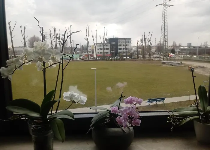 Zalogowa ホステル *