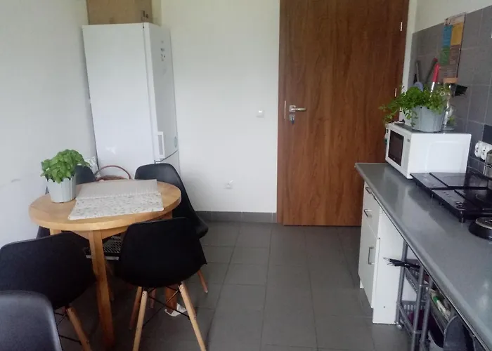 Zalogowa ホステル